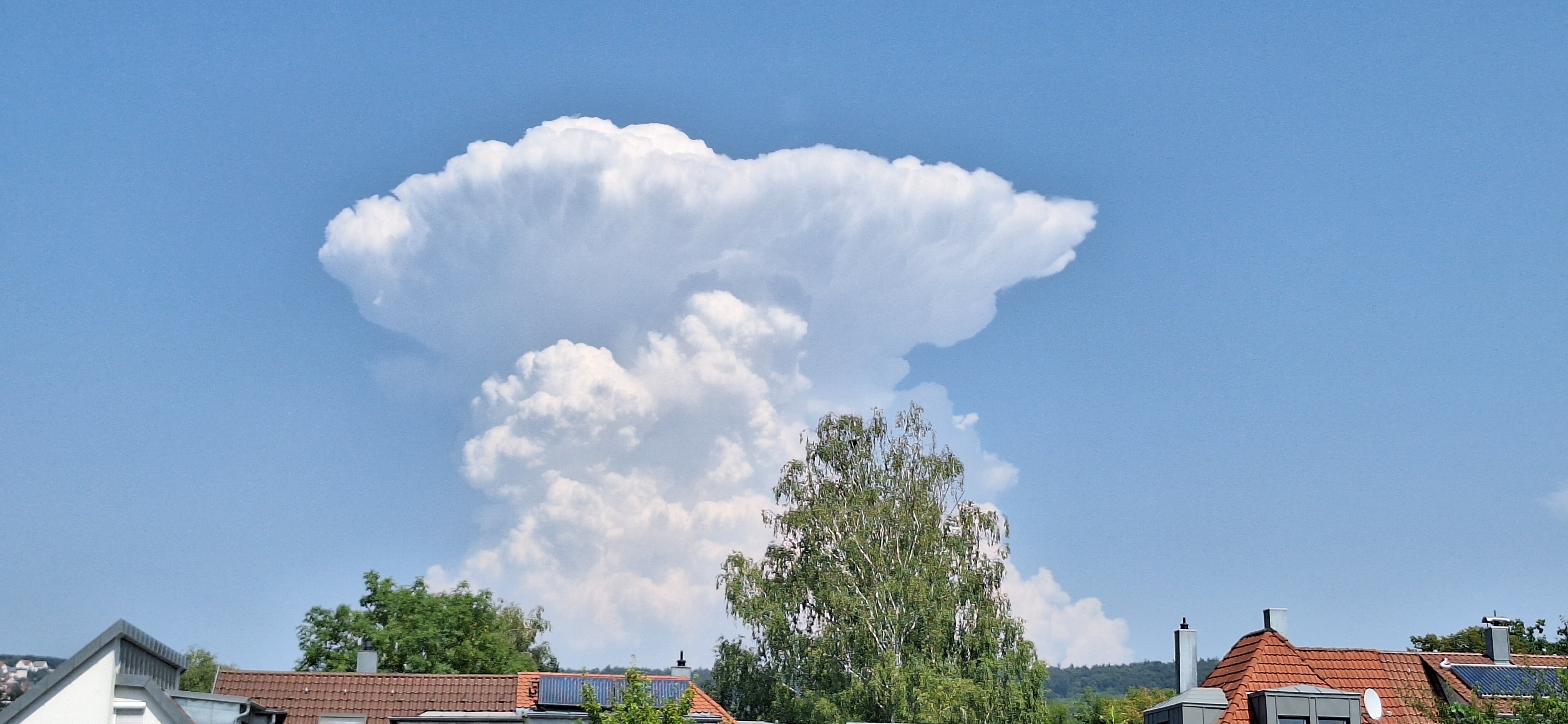 Cumulonimbus capillatus