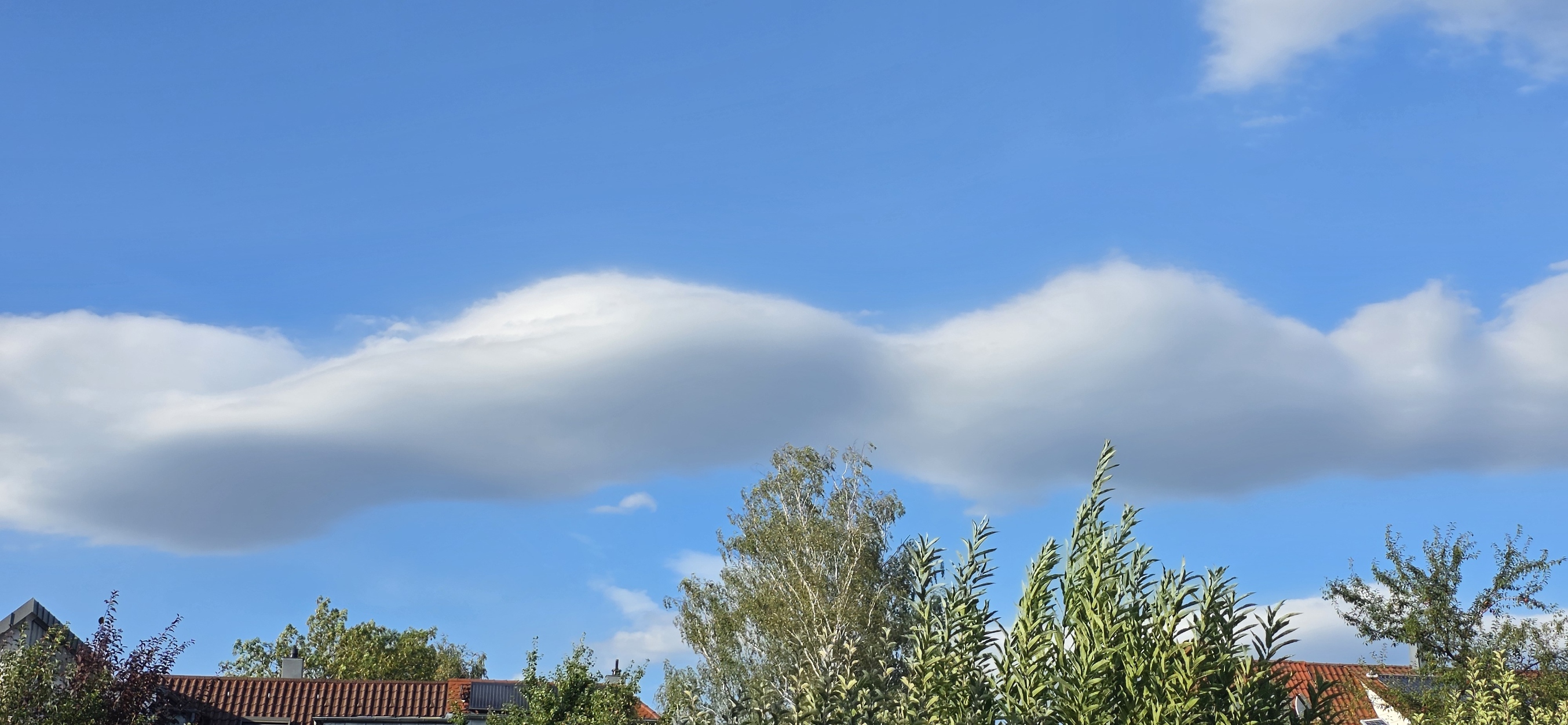 Stratocumulus lenticularis