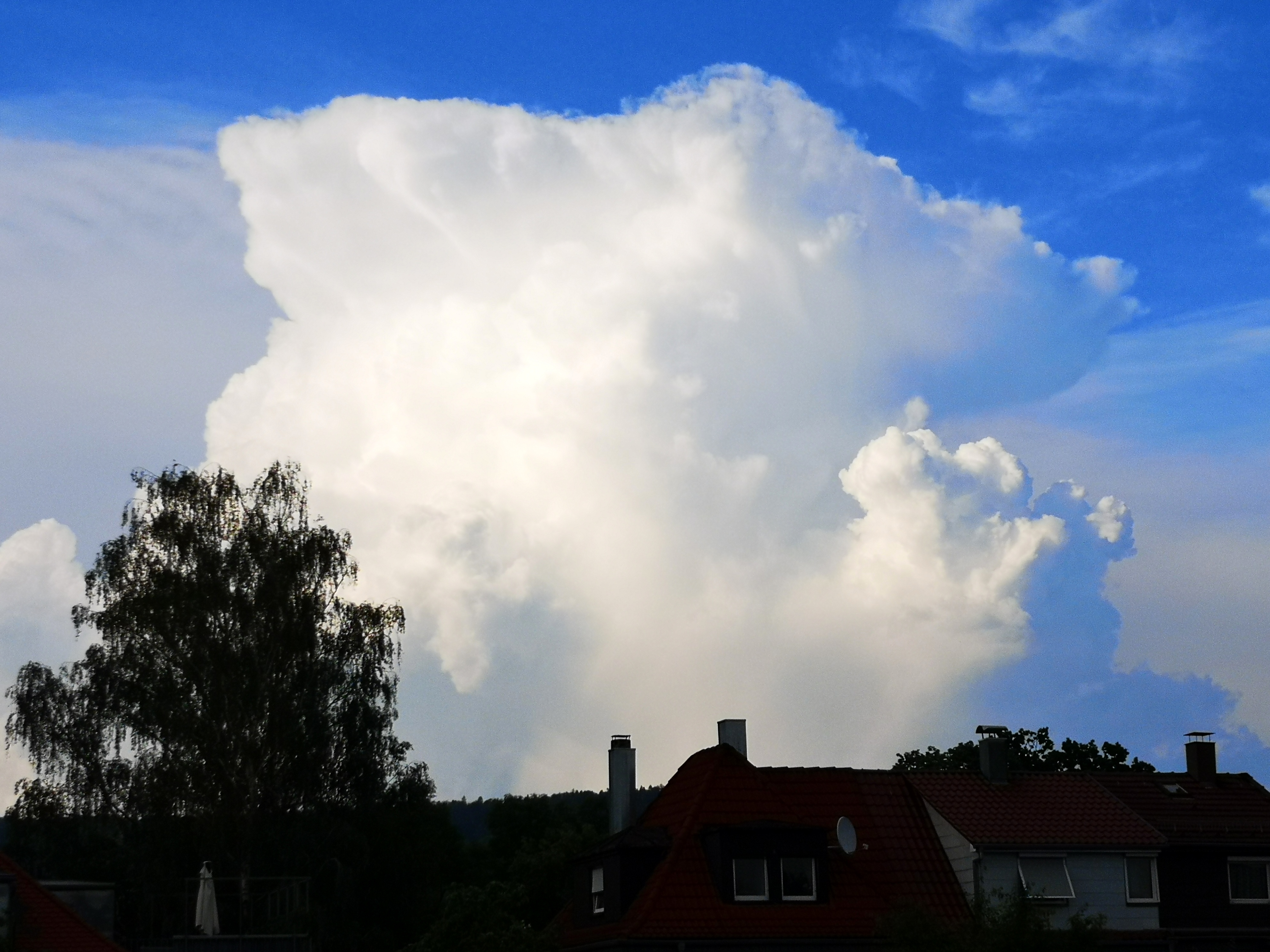 Monatsrückblick August 2026